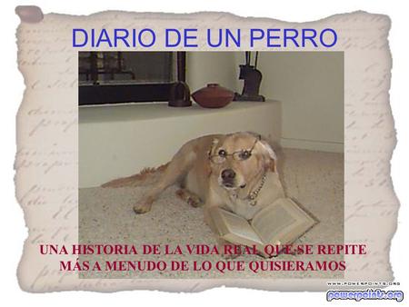 DIARIO DE UN PERRO UNA HISTORIA DE LA VIDA REAL QUE SE REPITE MÁS A MENUDO DE LO QUE QUISIERAMOS.