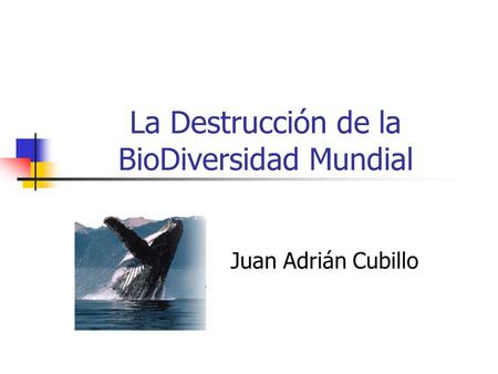 La Destrucción de la BioDiversidad Mundial