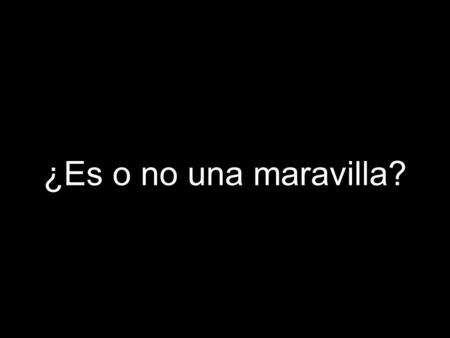 ¿Es o no una maravilla?.