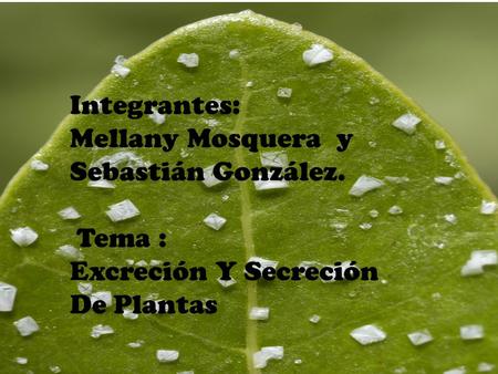 Integrantes: Mellany Mosquera  y   Sebastián González. Tema :