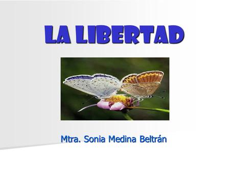 Mtra. Sonia Medina Beltrán