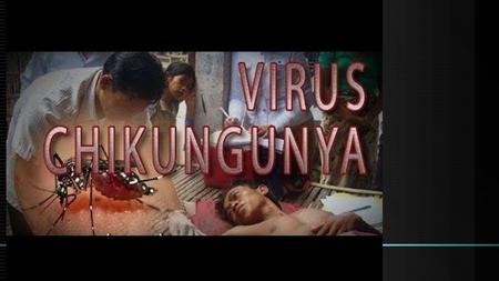 Chikungunya la fiebre del chikungunya se debe por la pìcada de un mosquito que causa un cuadro de fiebre alta, esta enfermedad es proveniente de africa.