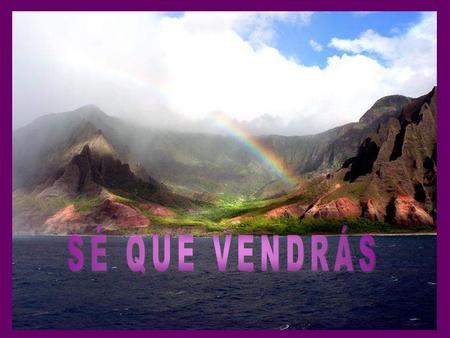 SÉ QUE VENDRÁS.