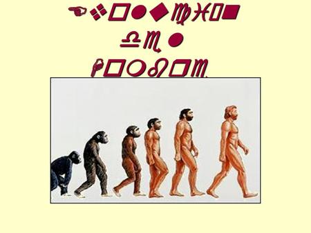 Evolución del Hombre.