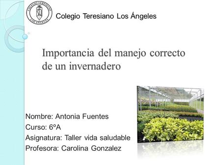 Importancia del manejo correcto de un invernadero Nombre: Antonia Fuentes Curso: 6ºA Asignatura: Taller vida saludable Profesora: Carolina Gonzalez Colegio.