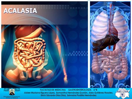 FACULTAD DE MEDICINA GASTROENTEROLOGÍA 6°B