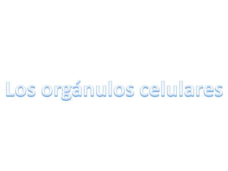 Los orgánulos celulares