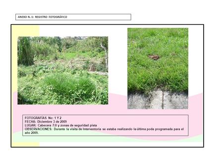 FOTOGRAFÍAS No: 1 Y 2 FECHA: Diciembre 3 de 2009 LUGAR: Cabecera 7:0 y zonas de seguridad pista OBSERVACIONES: Durante la visita de Interventoría se estaba.