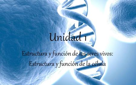 Unidad 1 Estructura y función de los seres vivos: