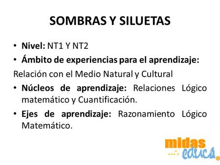 SOMBRAS Y SILUETAS Nivel: NT1 Y NT2