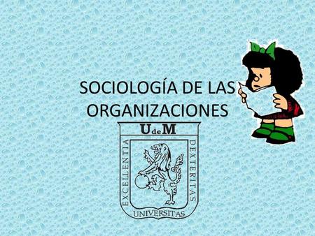 SOCIOLOGÍA DE LAS ORGANIZACIONES