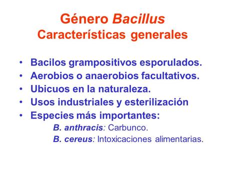 Género Bacillus Características generales