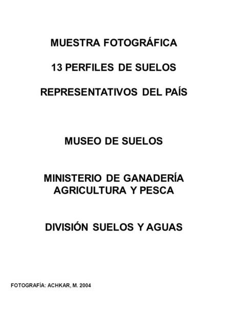 REPRESENTATIVOS DEL PAÍS