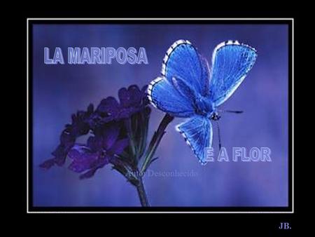 Autor Desconhecido JB. Cierta vez, un hombre pidió a Dios una flor......y una mariposa. JB.