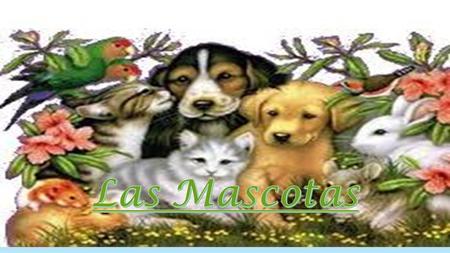 Las Mascotas.