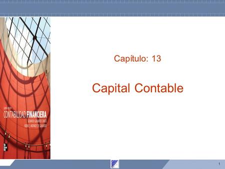 Capítulo: 13 Capital Contable.