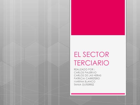 EL SECTOR TERCIARIO REALIZADO POR : CARLOS PALERMO CARLOS DE LAS HERAS PATRICIA CARRETERO MARINA BLANCO TANIA GUTIERREZ.