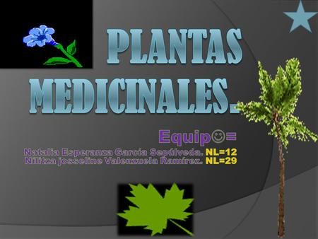 Plantas medicinales. Equip=