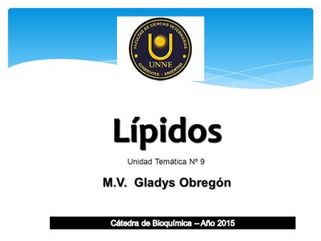 Lípidos M.V. Gladys Obregón Unidad Temática Nº 9.