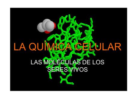 LAS MOLÉCULAS DE LOS SERES VIVOS