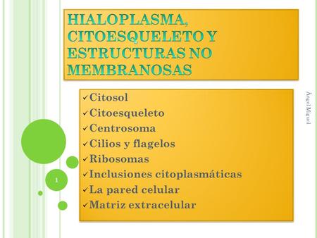 HIALOPLASMA, CITOESQUELETO Y ESTRUCTURAS NO MEMBRANOSAS