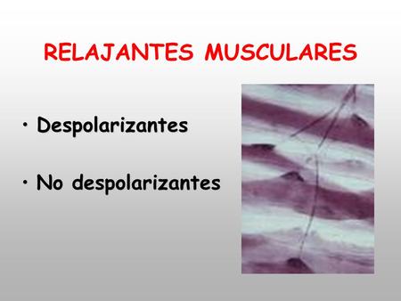 RELAJANTES MUSCULARES