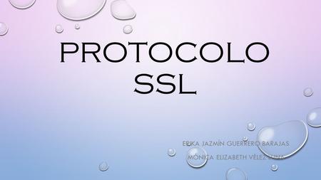 PROTOCOLO SSL ERIKA JAZMÍN GUERRERO BARAJAS MÓNICA ELIZABETH VÉLEZ LUNA.