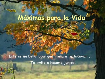 Este es un bello lugar que invita a reflexionar... Te invito a hacerlo juntos. Máximas para la Vida.