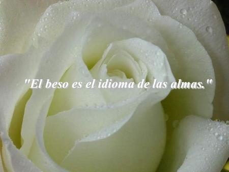 El beso es el idioma de las almas.