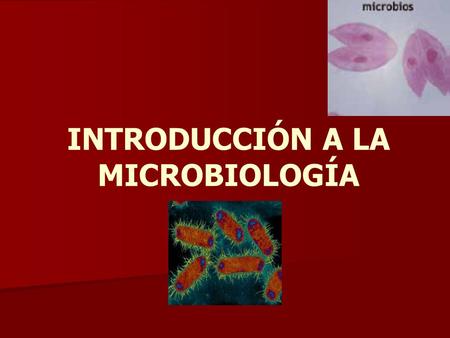 INTRODUCCIÓN A LA MICROBIOLOGÍA
