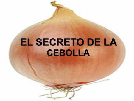 EL SECRETO DE LA CEBOLLA En 1919 cuando la gripe mató 40 millones de personas, había un médico que visitaba muchos granjeros para ver si les podía ayudar.