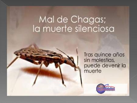 El mal de Chagas infecta a países latinoamericanos
