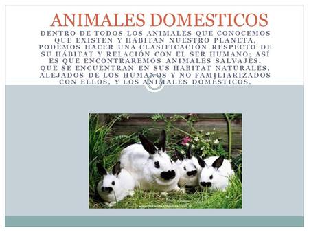 ANIMALES DOMESTICOS Dentro de todos los animales que conocemos que existen y habitan nuestro planeta, podemos hacer una clasificación respecto de su hábitat.