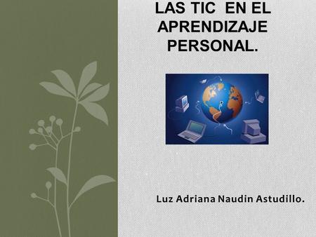 Luz Adriana Naudin Astudillo. LAS TIC EN EL APRENDIZAJE PERSONAL.