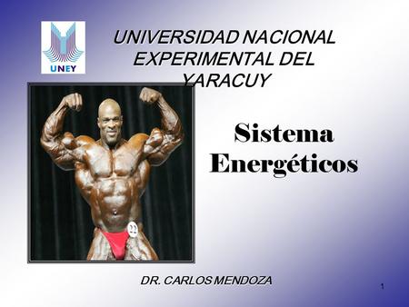 UNIVERSIDAD NACIONAL EXPERIMENTAL DEL YARACUY