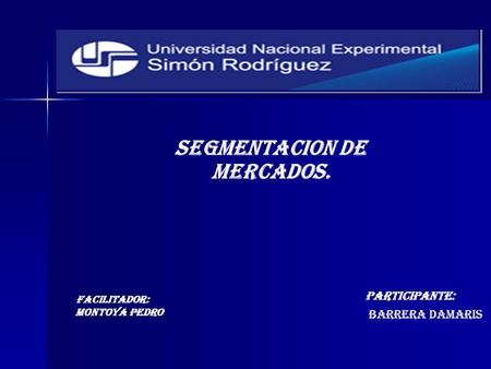 SEGMENTACION DE MERCADOS. Participante: Barrera Damaris Facilitador: MONTOYA PEDRO.