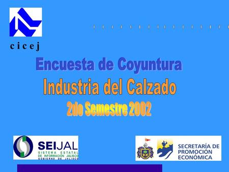 C i c e j. INTRODUCCIÓN Introducción................. 1 Estudio................. 2 Del entorno externo.......... 4 Resultados de la encuesta........ 5.