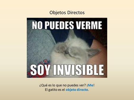 Objetos Directos ¿Qué es lo que no puedes ver? ¡Me!