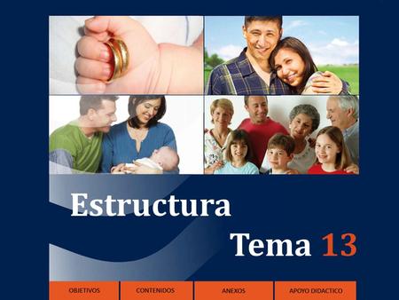 Estructura Tema 13. Objetivos 1.Descubrir en la historia de la Reconciliación el gran amor de Dios por todos los hombres. 2. Reconocer la urgencia de.
