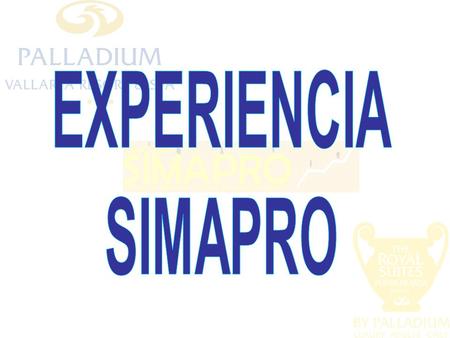 En Palladium Vallarta Resort & Spa & The Royal Suites, trabajamos para logar que todos nuestros huéspedes disfruten de una extraordinaria experiencia.