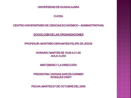  El éxito de diferentes negocios se puede explicar, no por el uso de un atributo organizativo cualquiera (tal como un tipo concreto de sistema de planificación.