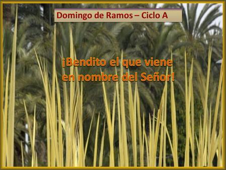 Llevaron el borrico, le echaron encima los mantos y Jesús se montó. Muchos alfombraron el camino con sus mantos y con ramas.
