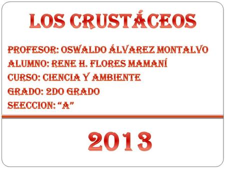2013 Los Crustáceos PROFESOR: OSWALDO Álvarez Montalvo