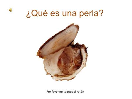 ¿Qué es una perla? Por favor no toques el ratón Cuando el marisco se hace una herida con un grano de arena, y el grano queda metido en la llaga. Se ponen.
