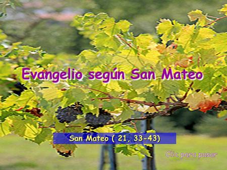 Evangelio según San Mateo San Mateo ( 21, 33-43)