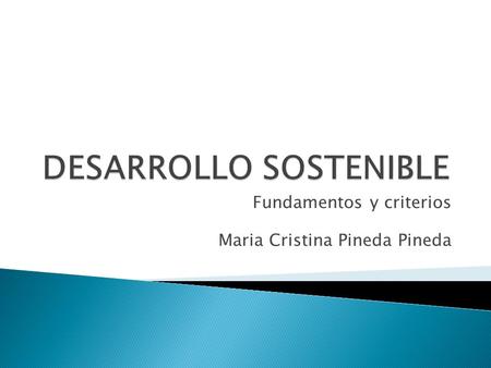 Fundamentos y criterios Maria Cristina Pineda Pineda.