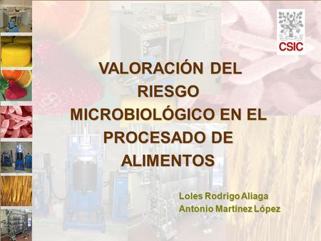 VALORACIÓN DEL RIESGO MICROBIOLÓGICO EN EL PROCESADO DE ALIMENTOS