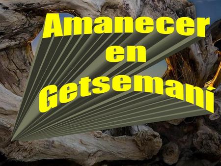 Permíteme, Señor, asomarme al pretil nuevo del alba, y que decir, yo te diga, mis cuitas en forma de humilde plegaria, hasta hundir mis raíces vitales.