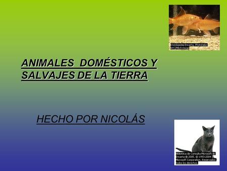 ANIMALES DOMÉSTICOS Y SALVAJES DE LA TIERRA