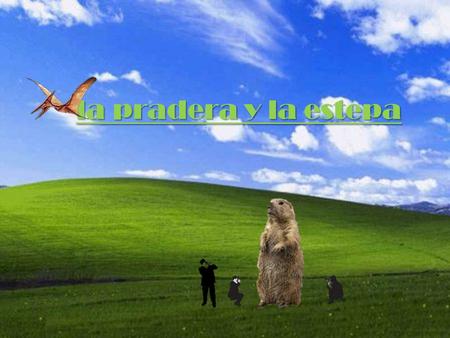 La pradera y la estepa.